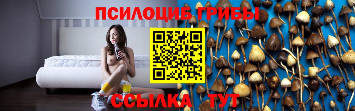 Псилоцибиновые грибы MAGIC MUSHROOMS Донской